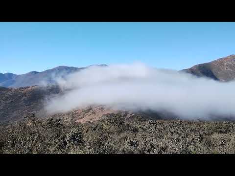 Niebla en El Sarco, Comuna de La Higuera, Región de Coquimbo, Chile (2023). Video: D. Carvajal.
