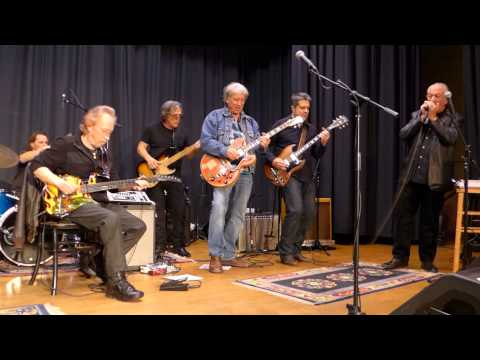 Jules Leyhe jams with the Chicago Blues Reunion