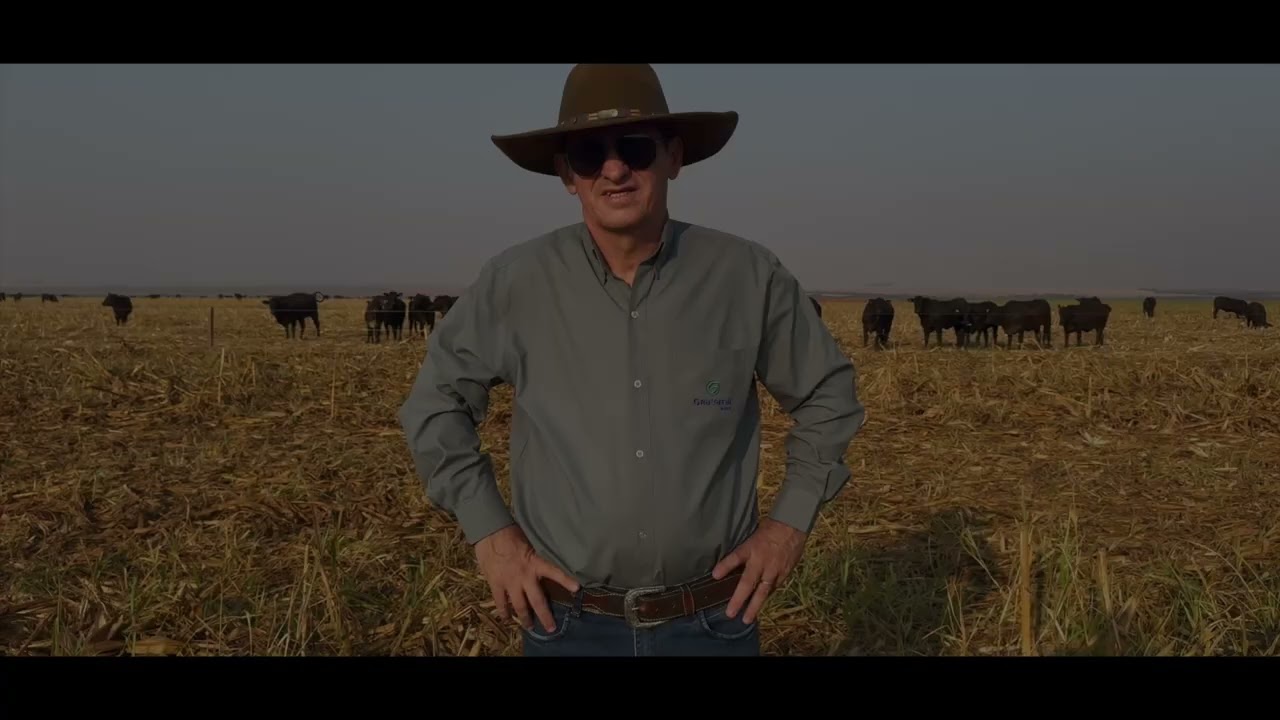 Fazenda Gravataí (BR)