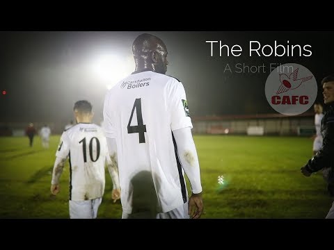 The Robins - The Movie (Season 1)