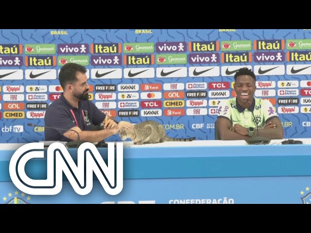 Gato sobe na mesa durante coletiva de Vini Jr. |  CNN NOVO DIA