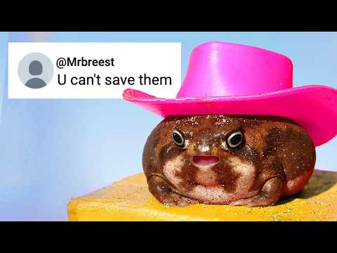 I spent $3200 trying to save my Forbidden Fat Frog