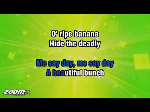 Harry Belafonte - Day-O (The Banana Boat Song) (Karaoke Version) with Lyrics On Screen