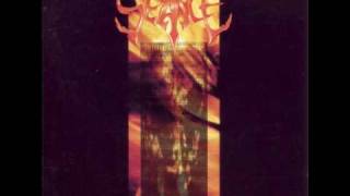 Seance - Controlled Bleeding