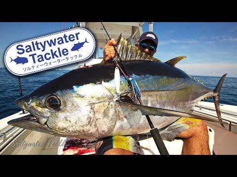 download lagu mp3 mp4 Jigging For Tuna In The Northeast, download lagu Jigging For Tuna In The Northeast gratis, unduh video klip Jigging For Tuna In The Northeast