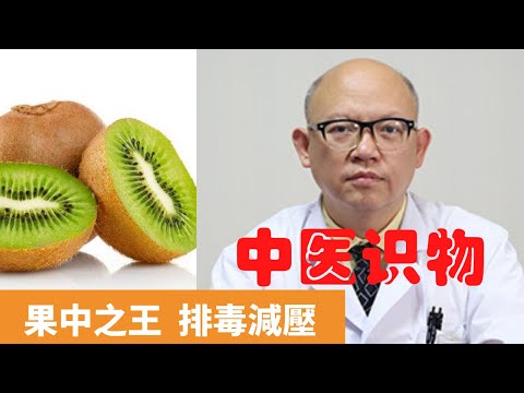 食果之猴
