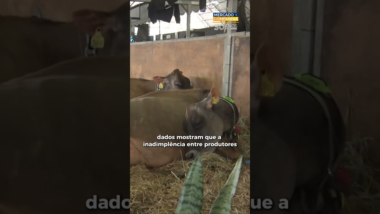 Agroleite debate desafios do crédito rural em meio ao endividamento