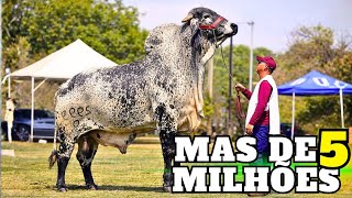 O PREÇO de um NOME. 
