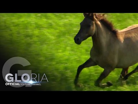 Video thumbnail for Врано конче (Vrano konche)