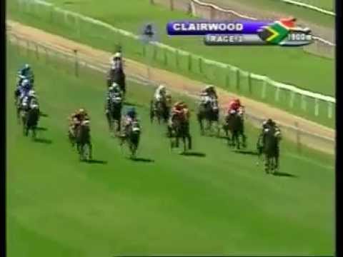 2012-12-22 Clairwood - race 3