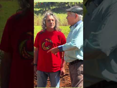 🌾 La fuerza de la tierra colorada: Darío y Francisco en la chacra