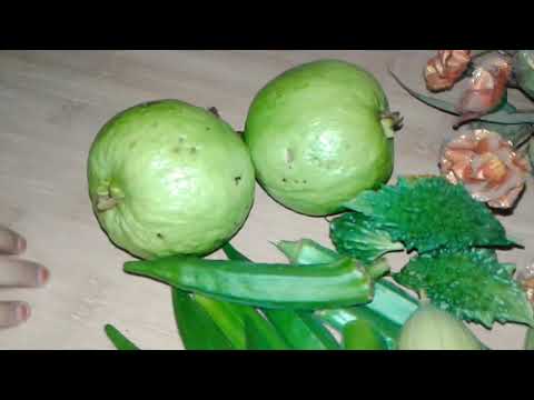 🌲🌳WATCH ASFIA 'S GARDEN'S SOME VEGETABLES & FRUITS..