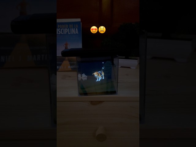 Vídeo relacionado con Regalos Conmemorativos Personalizados para Perros, Mascota con Holograma 3D con Pantalla Acrílica Ultraclara, Aplicación Gratuita Interactiva de Bricolaje