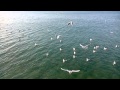 Крым!! Чайки кружат над волнами черного моря! 