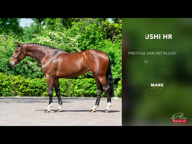 Ushi HR