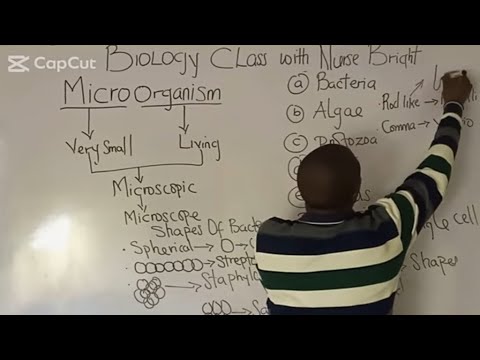 Microorganisms | Types of Microorganism | Genetics | Biology | Nurse Bright