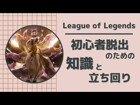 Lolで脱初心者 ブロンズ脱出のための知識教えます 動画添削レポートで徹底指導 しっかりと改善点を指摘 趣味 ゲームのアドバイス ココナラ