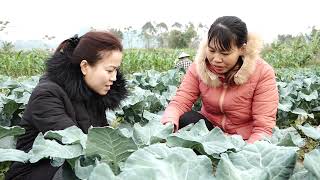 TỔNG KẾT CÔNG TÁC KHUYẾN NÔNG NĂM 2022