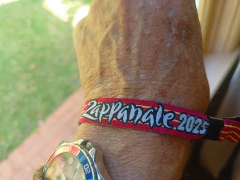 Zappanale 34   July 2025