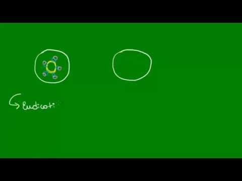 Caule primário - Botânica - Biologia