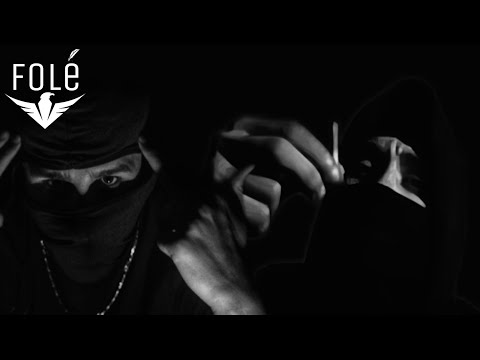 Furbo x Draco - Albadrill