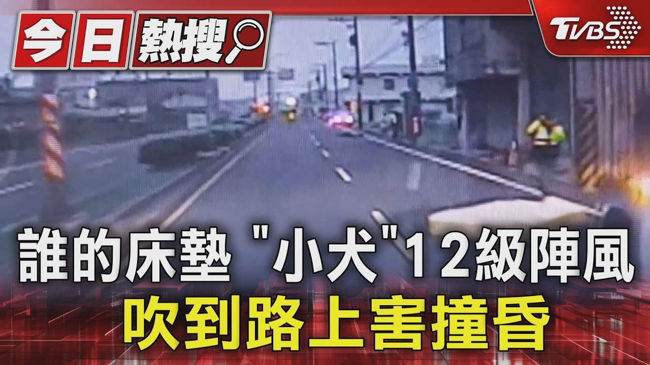 誰的床墊 「小犬」12級陣風吹到路上害撞昏