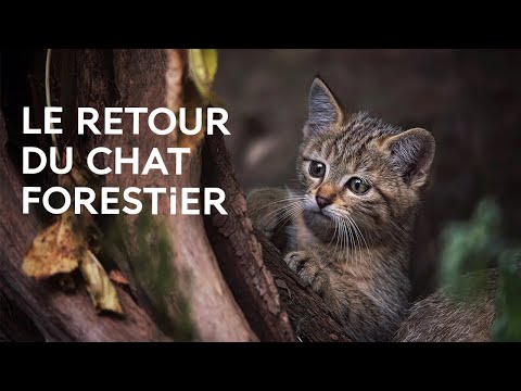 Où voir des animaux sauvages en Île-de-France ? - Ville de Paris