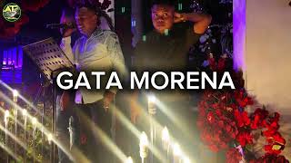 Download lagu GATA MORENA - cover by. ISTHO & NIKO mp3 Download lagu GATA MORENA - cover by. ISTHO & NIKO mp3