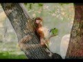 Сергій Манек - Я так люблю весну 