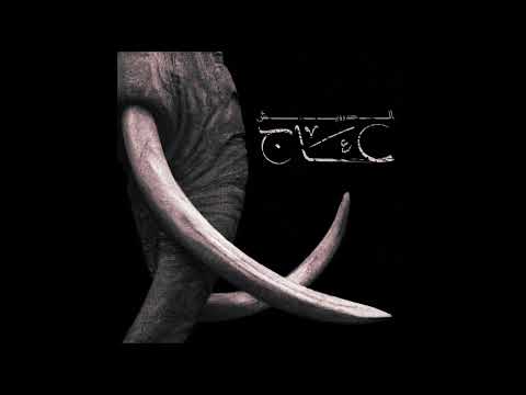 Aldarwish - شفرة (Official Audio)