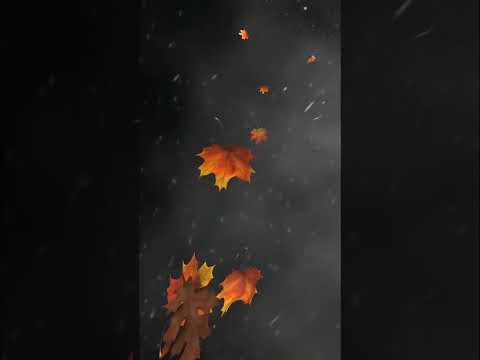 Autumn Winds #ambience #nature #autumncolours #wind #autumn