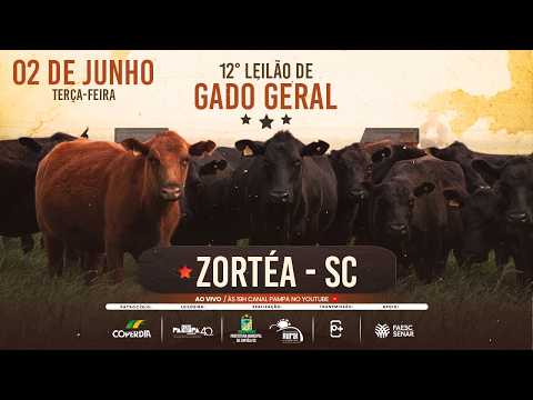 12° Feira de Gado Geral, ZORTÉA/SC - 02/06/2026 19h