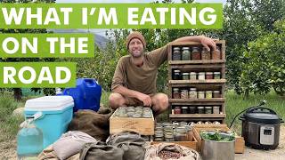 What I am eating, on the road… foraging 100% of my food and medicine for a year 🌱