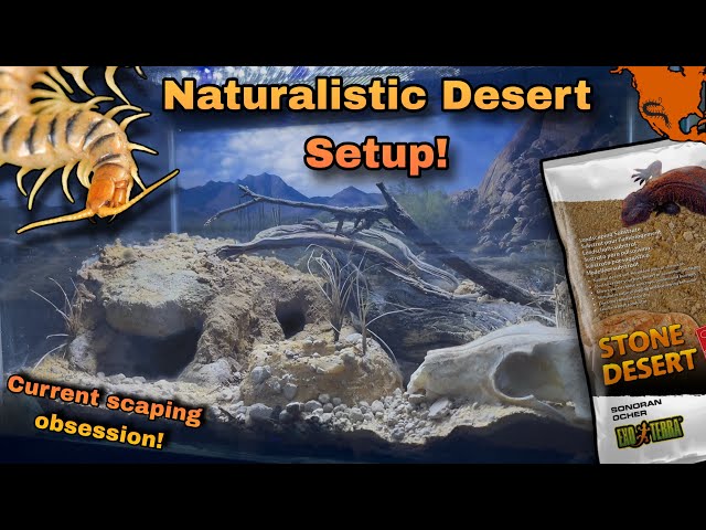 Vídeo relacionado con Exo Terra PT3138 Sonoran Ocher Stone Desert, 5 Kg, Color Amarillo