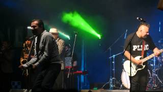 Polemic - Ob-la-di Ob-la-da