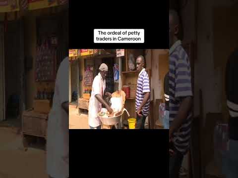 Breaking: Government Announces New Education Reform Policy