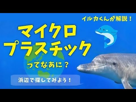 海洋の自由について詳しく解説