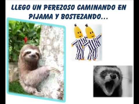 la iguana y el perezoso santi y yosman