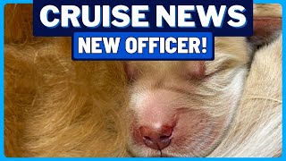 CRUISE NEWS: Royal Caribbean's New Officer, Added Carnival Ship for Baltimore, Cruise Super Bowl