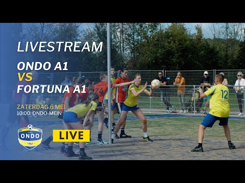 ONDO (G) A1 - Fortuna/Delta Logistiek A1