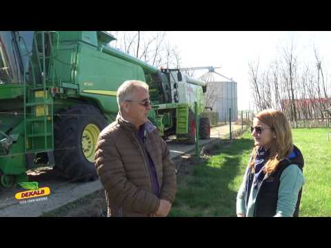 Protectia DEKALB - 732 ha - SC AGROVERA SRL