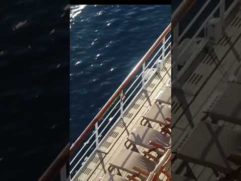 Thumbnail for Sailing into Serenity | Life at Sea with Cunard