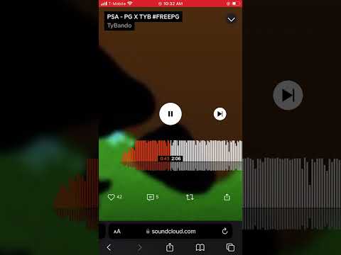 Pg 2Oppy x Tybando - PSA