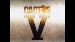 Cactus Music Music Video