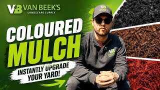 Which Mulch Colour Should You Choose | Van Beek's Landscape Supply
