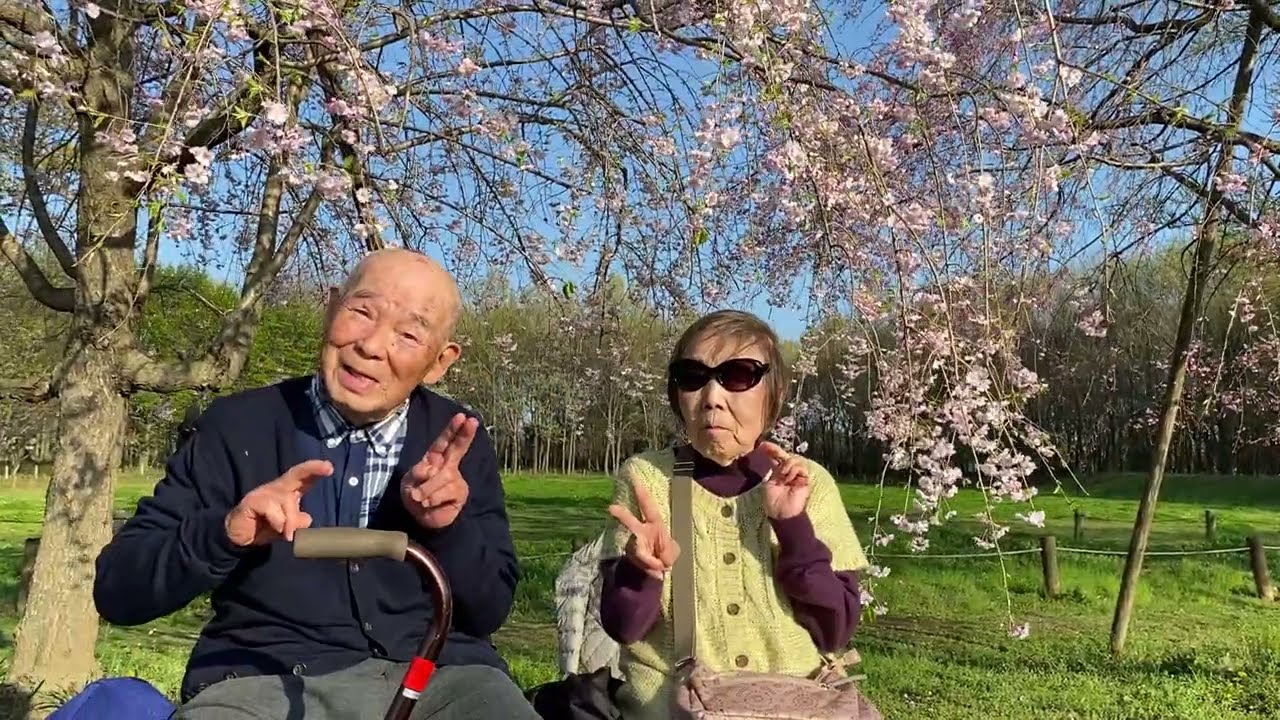 しだれ桜お花見🌸好き過ぎて滅！重吉87歳 夏子88歳 2026.4.3