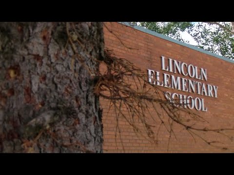 City By City 7.29.20