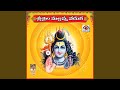 Sri Shaila Mallanna Veduka