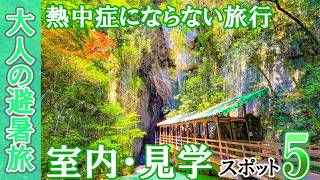 【シニア旅行】これぞ夏の大人旅！猛暑から逃れる室内・見学スポット5選！【60代】