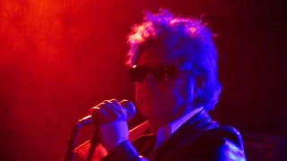 Slaughter and the Dogs - The Bitch